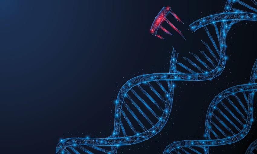 22.-Gene-mutation,-damage-to-a-part-of-a-cells-DNA